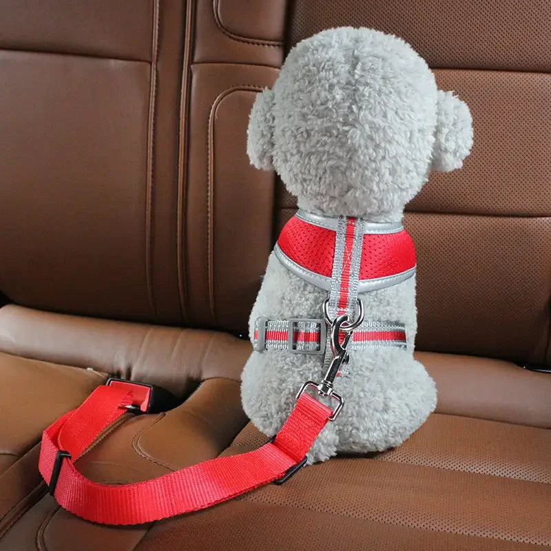 Strawberry Paws Adjustable Dog Car Seatbelt – Travel Safely, Ride Comfortably!