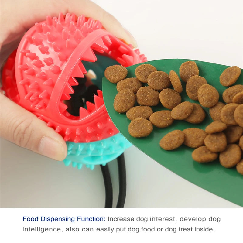 Strawberry Paws™ Monster Tug Toy – The Ultimate Solo Tug Challenge!