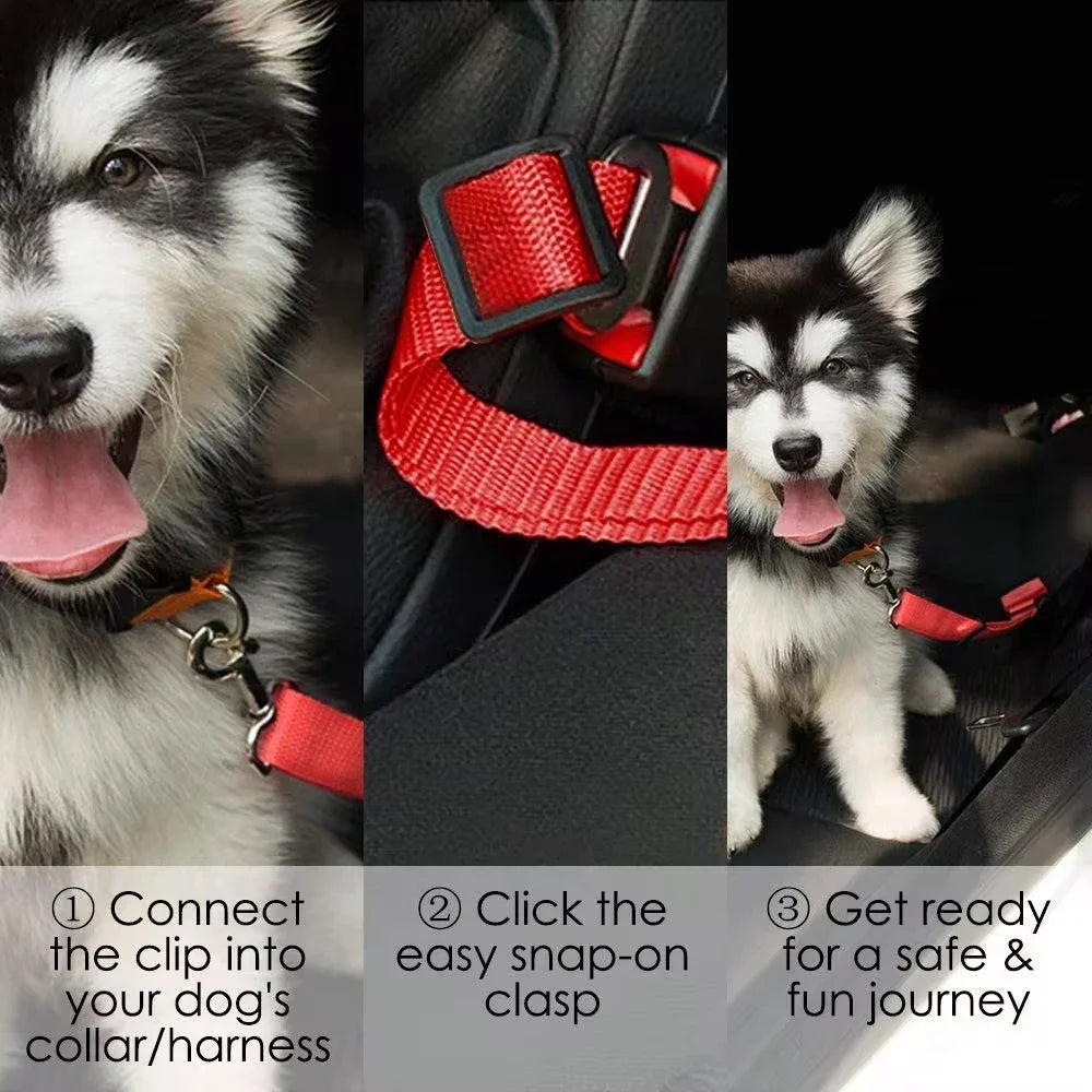 Strawberry Paws Adjustable Dog Car Seatbelt – Travel Safely, Ride Comfortably!