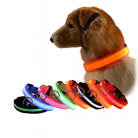 Strawberry Paws Glow-Up LED Dog Collar – Light Up Every Walk!