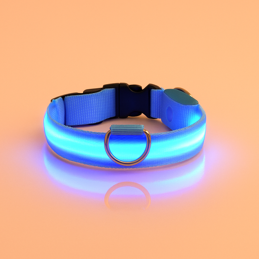 Strawberry Paws Glow-Up LED Dog Collar – Light Up Every Walk!