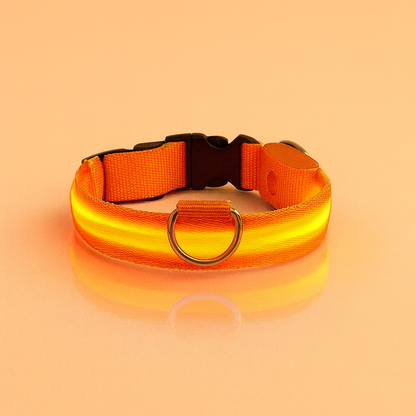 Strawberry Paws Glow-Up LED Dog Collar – Light Up Every Walk!