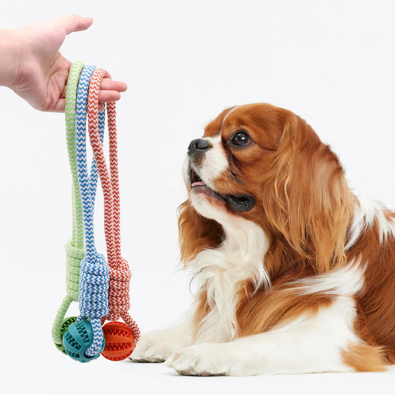 Strawberry Paws™ Tug &amp; Treat Rope Ball – Chew, Clean, and Play All Day!